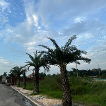 Plot Area in  Plot at Faridpur – for Sale