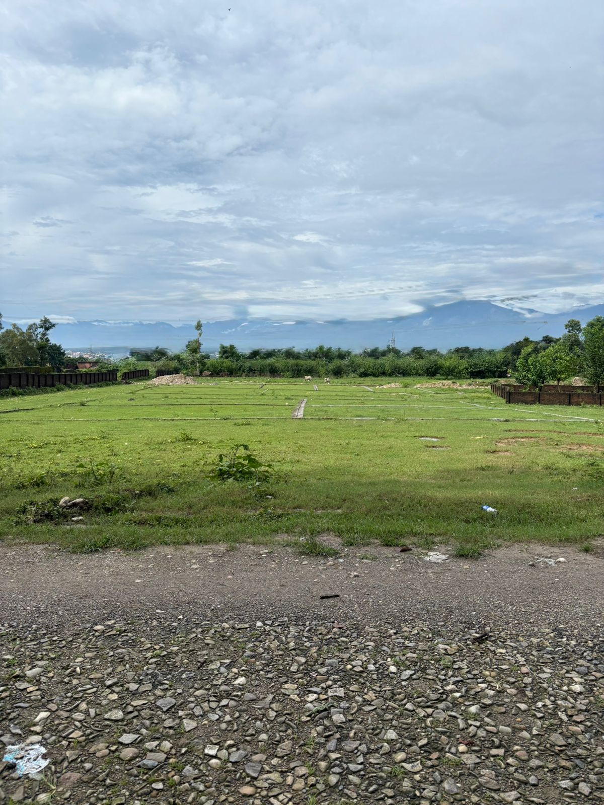 Plot For Sale in Sherpur 