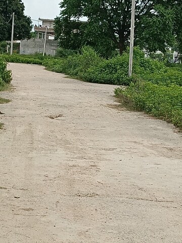 Plot Area in  Plot at Kamta – for Sale