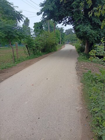 Plot Area in  Plot at Kamta – for Sale