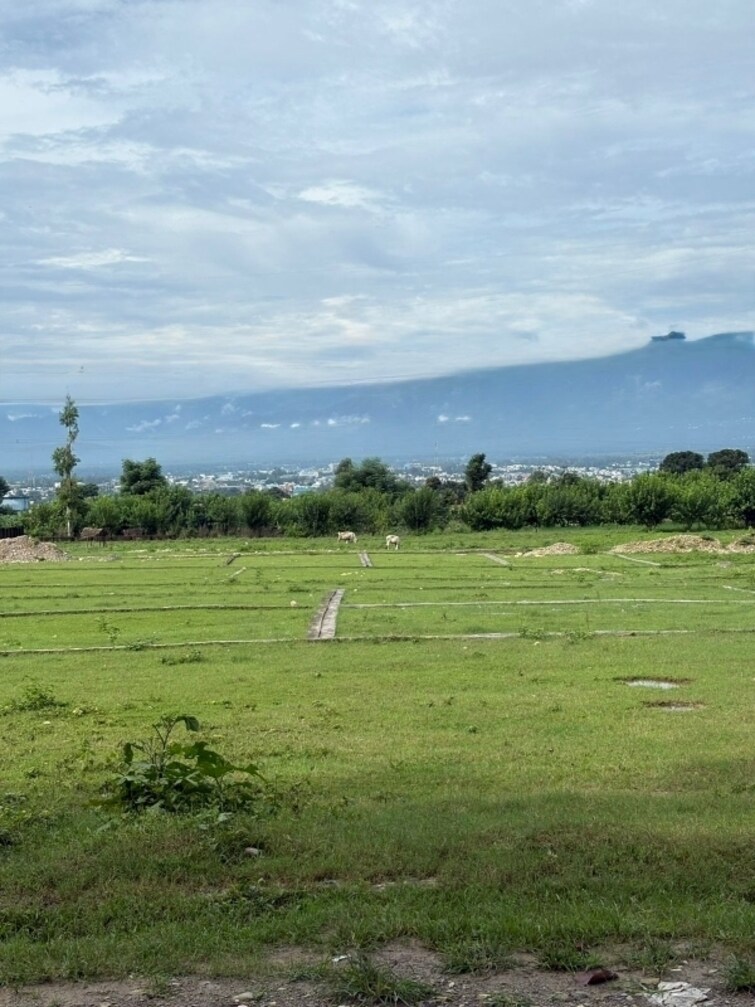 Cover Image, shimla bypass road  168 Sq.Yd. Plot In Shimla Bypass Road Dehradun 9193566