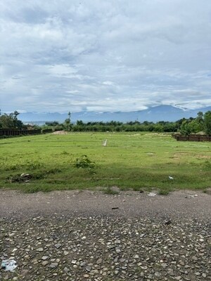 Plot Area in  Plot at Shimla Bypass Road – for Sale