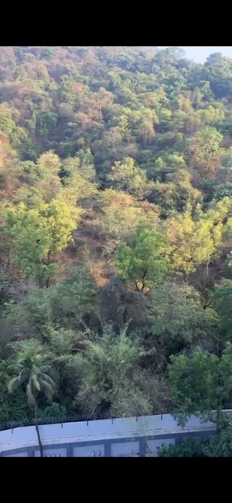 Garden, damji-shamji-mahavir-tower 2 Bedroom 654 Sq.Ft. Apartment In Mulund West Mumbai 9193418