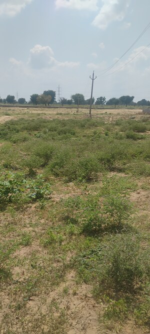  Plot – Garden View at Renwal Manji - for Sale