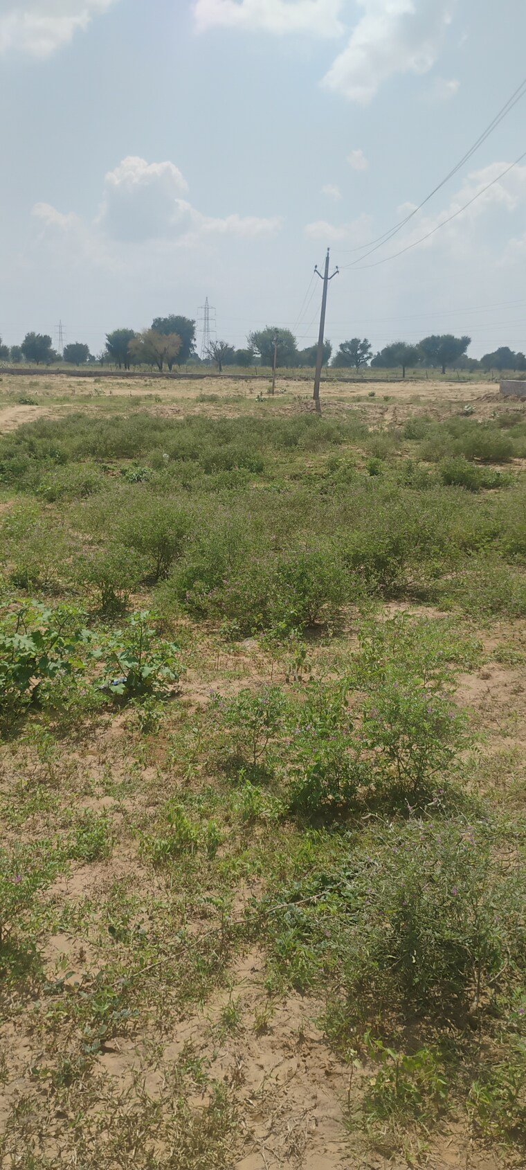 Garden, renwal manji  145 Sq.Yd. Plot In Renwal Manji Jaipur 9193475