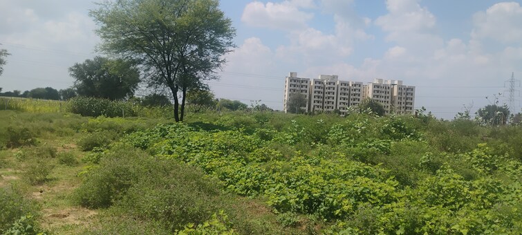 Cover Image, renwal manji  145 Sq.Yd. Plot In Renwal Manji Jaipur 9193475