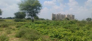  Plot – Exterior View View at Renwal Manji - for Sale