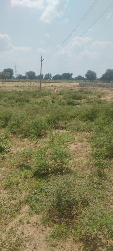  Plot – Garden View at Renwal Manji - for Sale