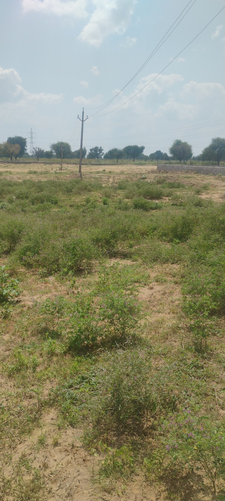 Garden, renwal manji  145 Sq.Yd. Plot In Renwal Manji Jaipur 9193475