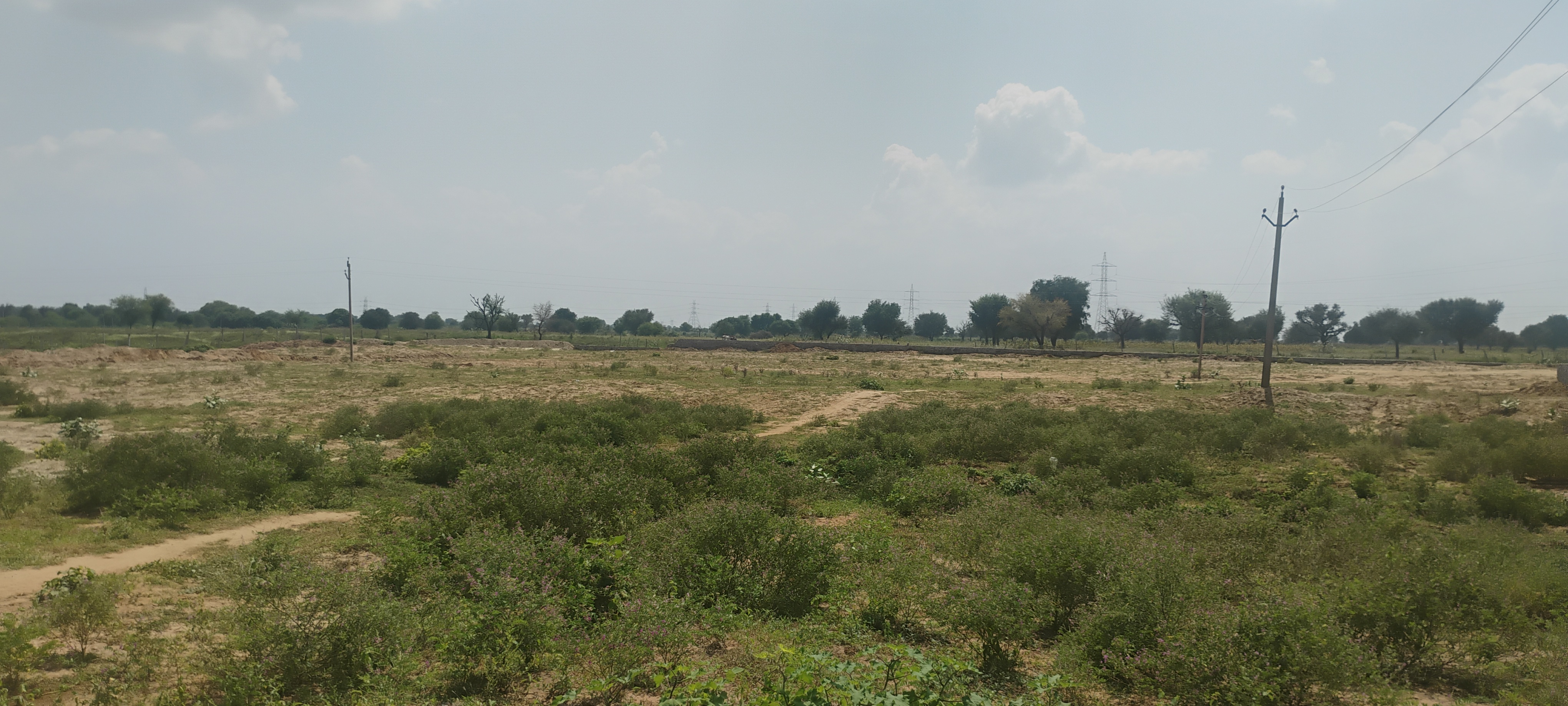 Plot For Sale in Renwal Manji
