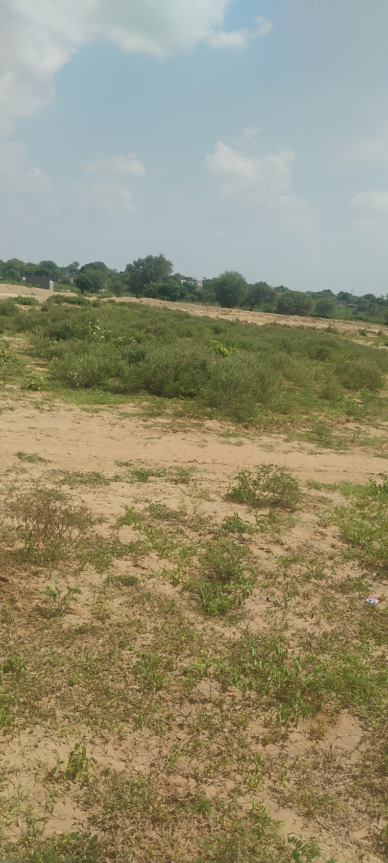 Garden, renwal manji  215 Sq.Yd. Plot In Renwal Manji Jaipur 9193570