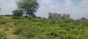  Plot – Exterior View View at Renwal Manji - for Sale