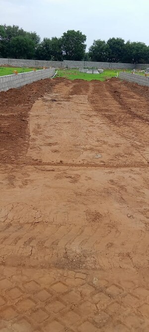 Plot Area in  Plot at Renwal Manji – for Sale