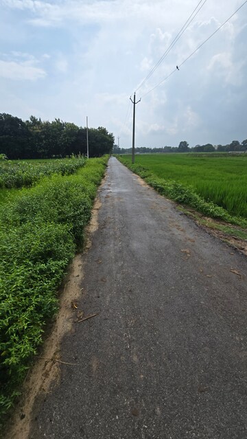  Plot – Garden View at Maniram - for Sale