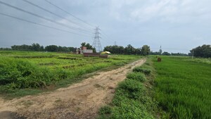 Plot Area in  Plot at Maniram – for Sale