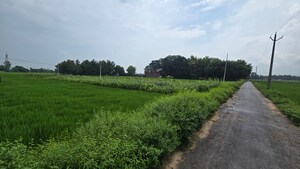 Plot Area in  Plot at Maniram – for Sale