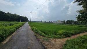 Plot Area in  Plot at Maniram – for Sale