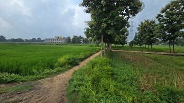 Plot Area in  Plot at Maniram – for Sale