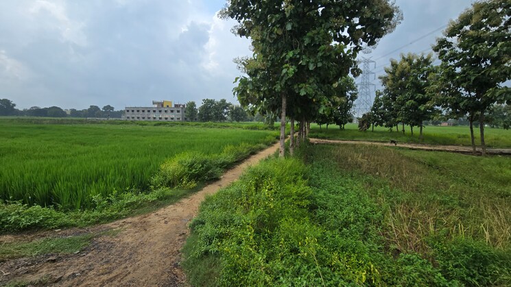 undefined, maniram  1000 Sq.Ft. Plot In Maniram Gorakhpur 9193759