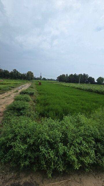  Plot – Garden View at Maniram - for Sale