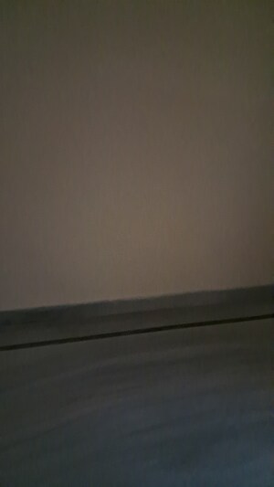 Room in 3 BHK Independent House at Alwar Bypass Road – for Rent