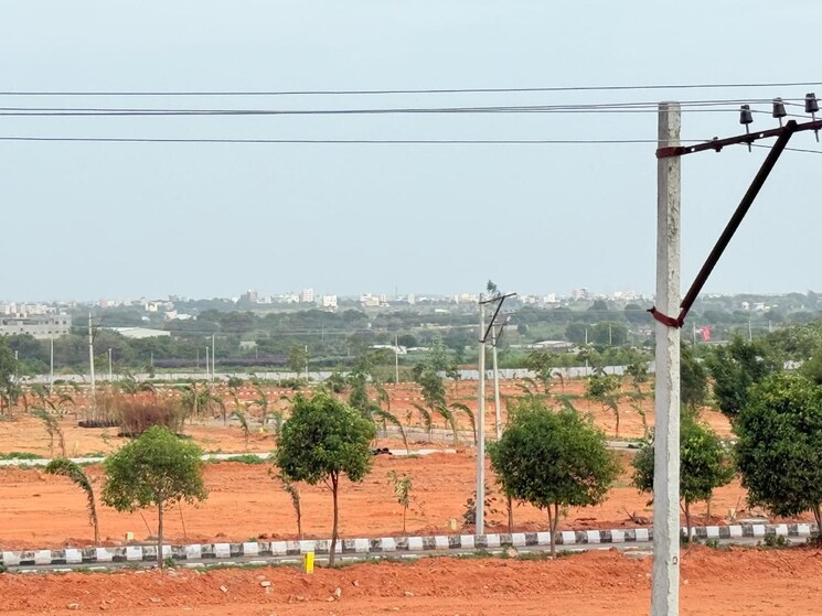 undefined, shadnagar  200 Sq.Yd. Plot In Shadnagar Hyderabad 9194111