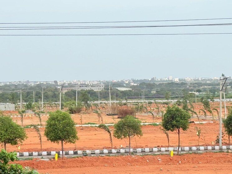 Garden, shadnagar  200 Sq.Yd. Plot In Shadnagar Hyderabad 9194111