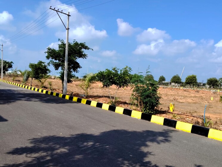 Garden, shadnagar  220 Sq.Yd. Plot In Shadnagar Hyderabad 9194150