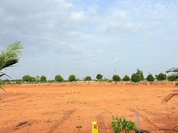 Plot Area in  Plot at Shadnagar – for Sale