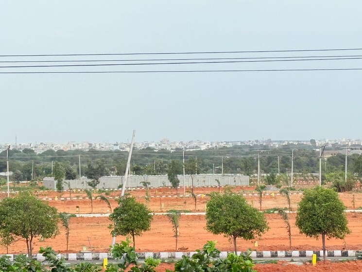 Garden, shadnagar  300 Sq.Yd. Plot In Shadnagar Hyderabad 9194152