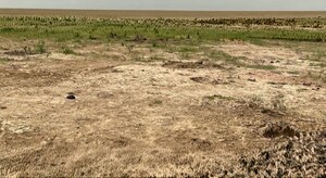  Land For Rent in Mohispota