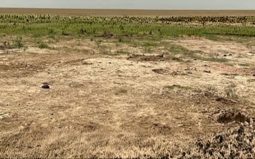 Land For Rent in Mohispota