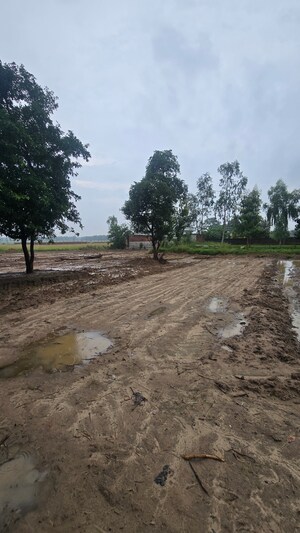 Plot Area in  Plot at Maniram – for Sale