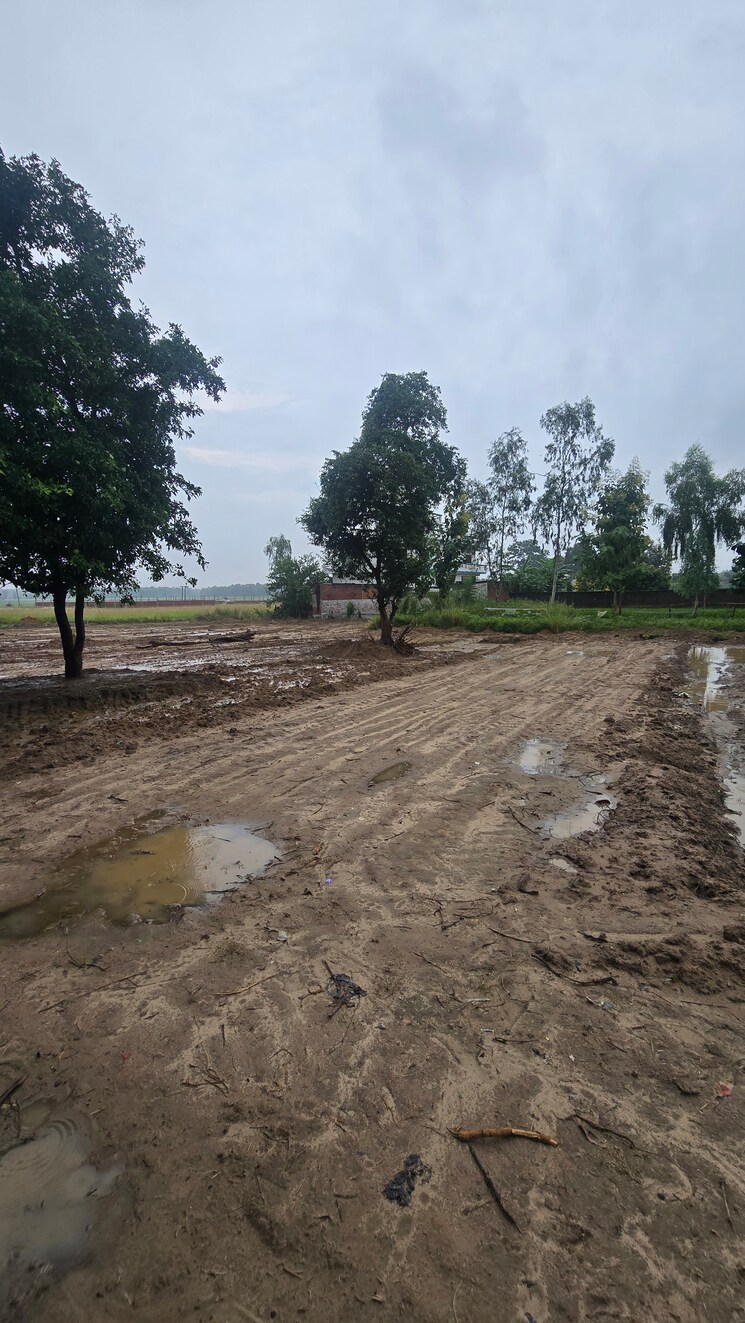 undefined, maniram  1000 Sq.Ft. Plot In Maniram Gorakhpur 9195143