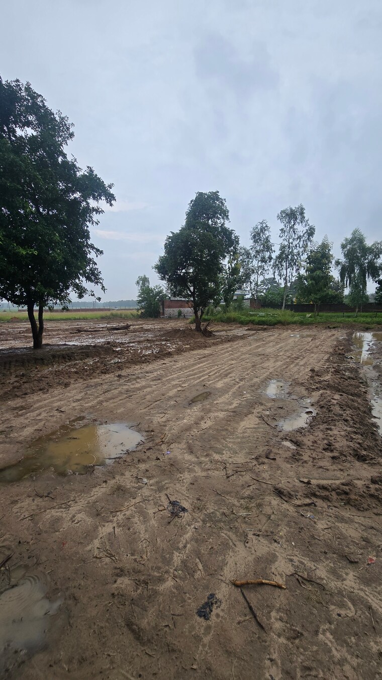 undefined, maniram  1000 Sq.Ft. Plot In Maniram Gorakhpur 9195143