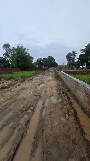 Plot Area in  Plot at Maniram – for Sale