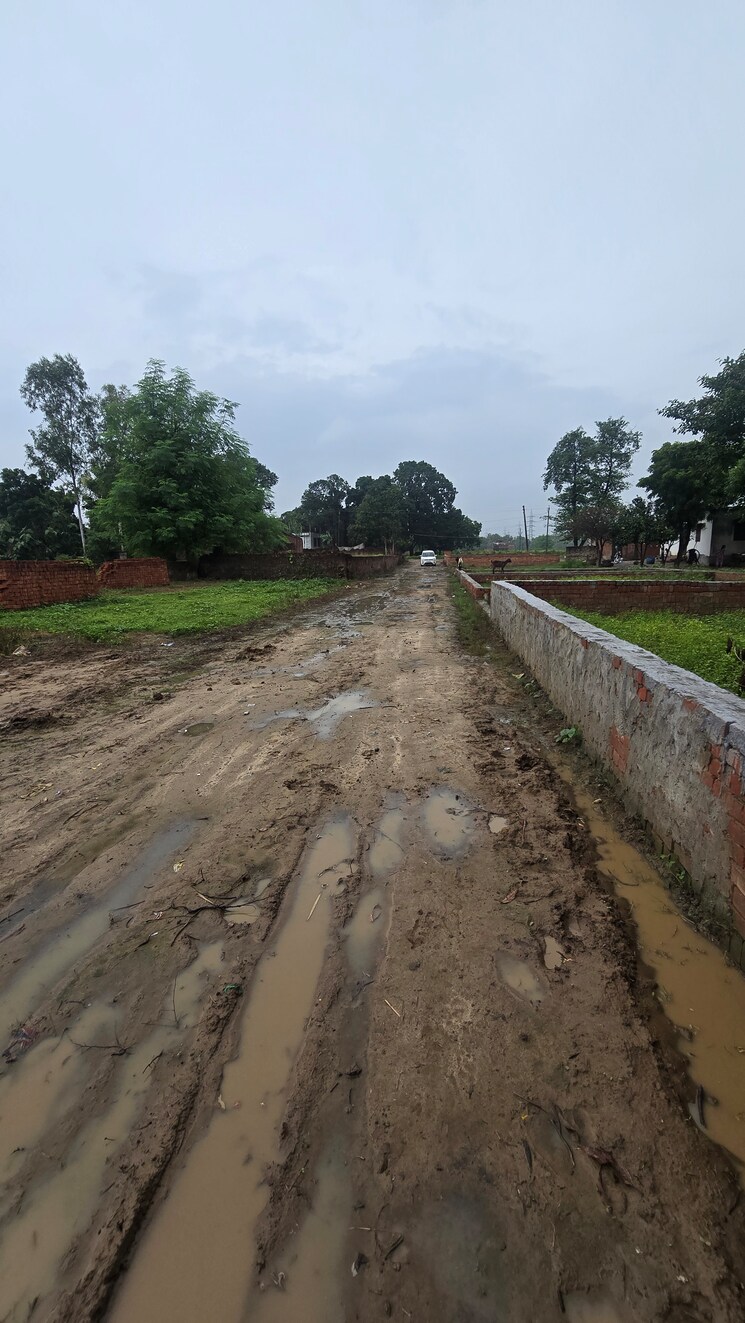 undefined, maniram  1000 Sq.Ft. Plot In Maniram Gorakhpur 9195143