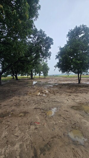  Plot – Garden View at Maniram - for Sale