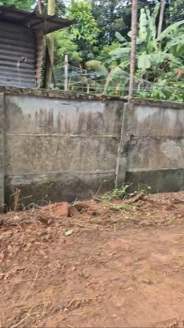 Plot Area in  Plot at Marathakkara – for Sale
