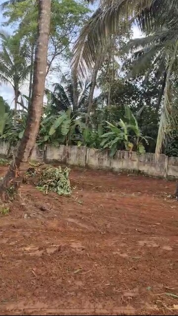 Plot Area in  Plot at Marathakkara – for Sale