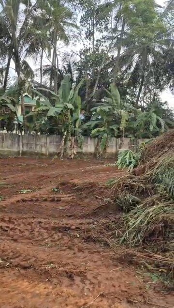 Plot Area in  Plot at Marathakkara – for Sale