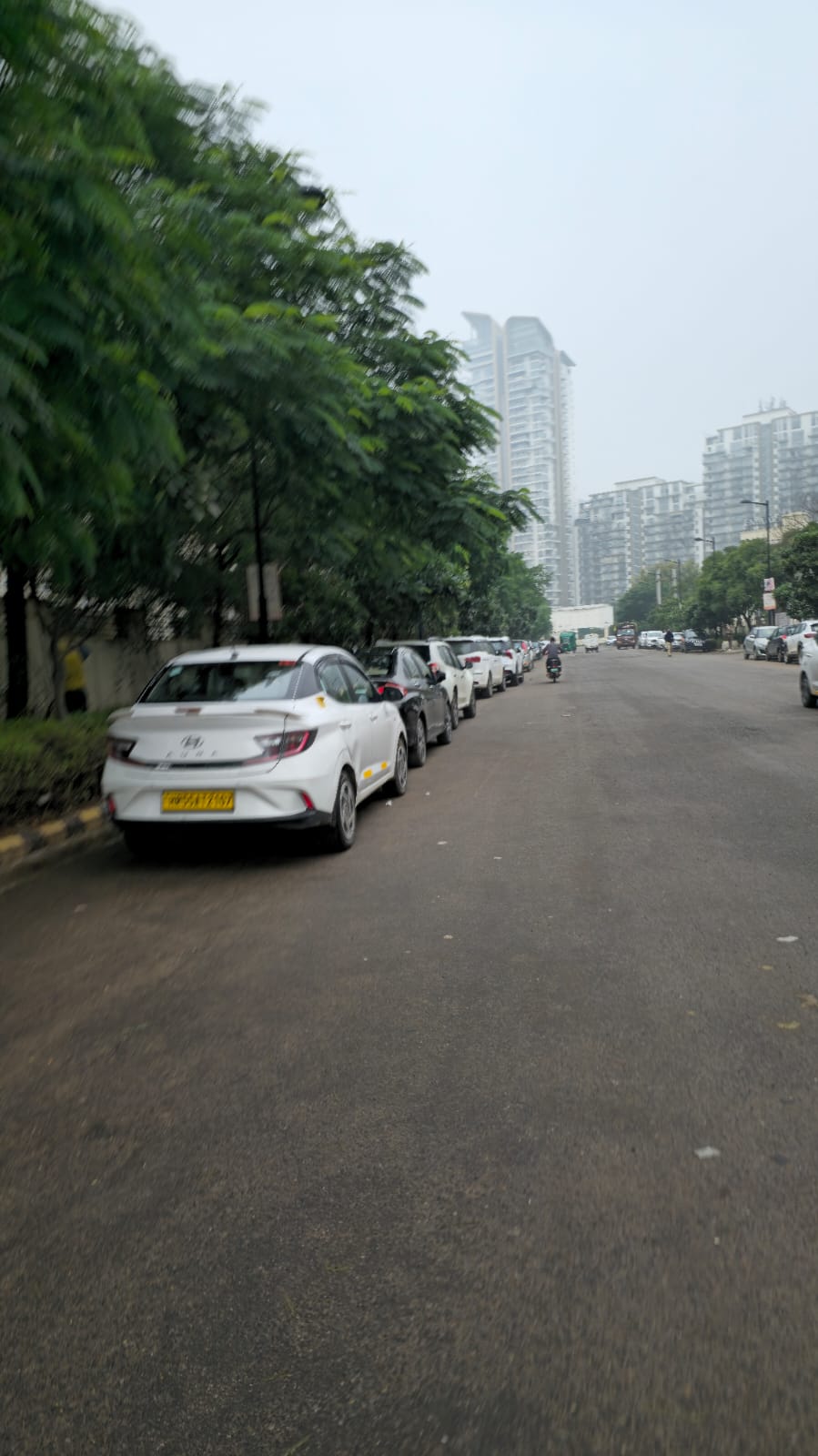 3 BHK + Study Room Builder Floor For Rent in Smart World Orchard