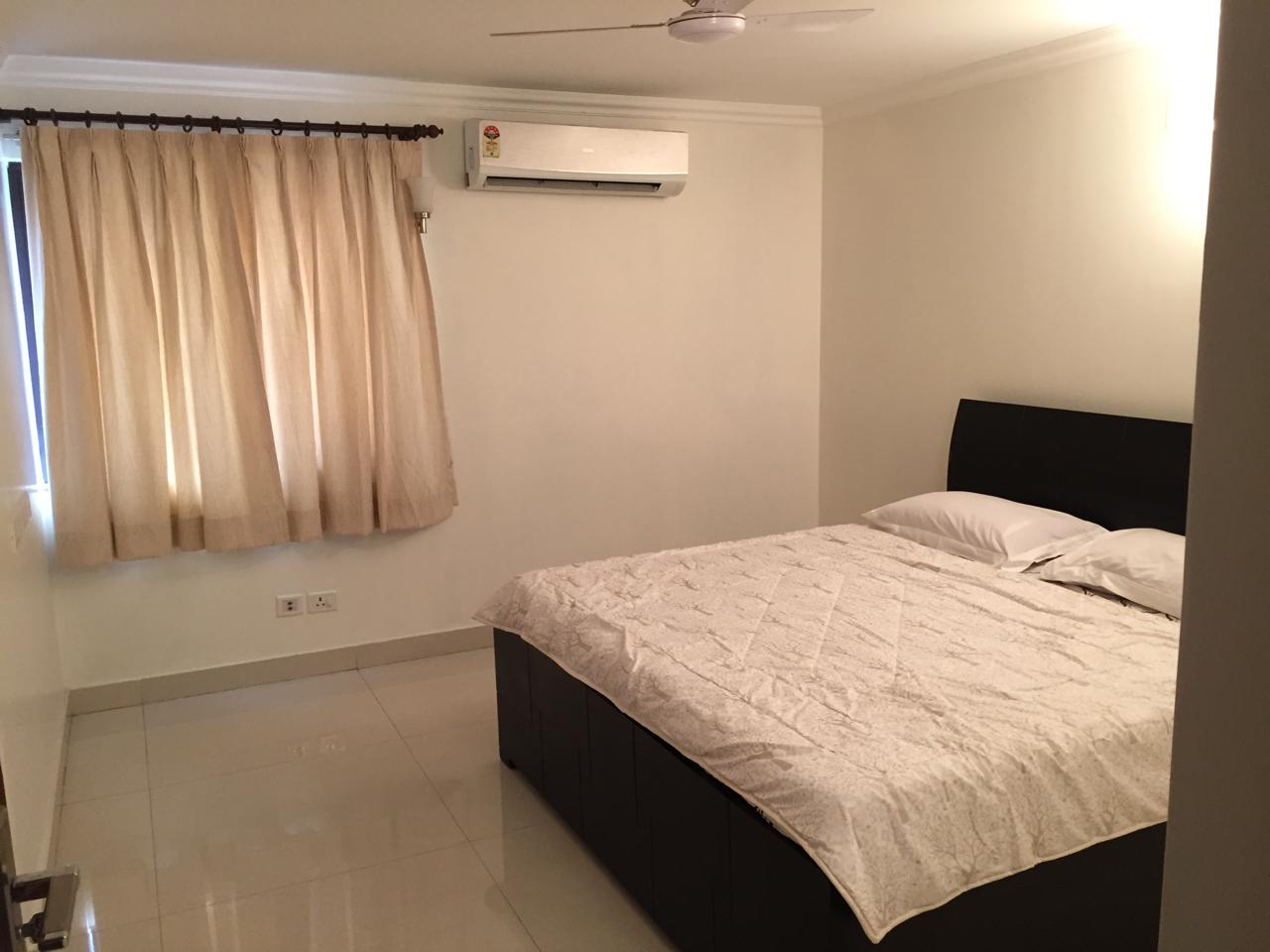 3 BHK + Servant Room Builder Floor For Rent in Vasant Vihar