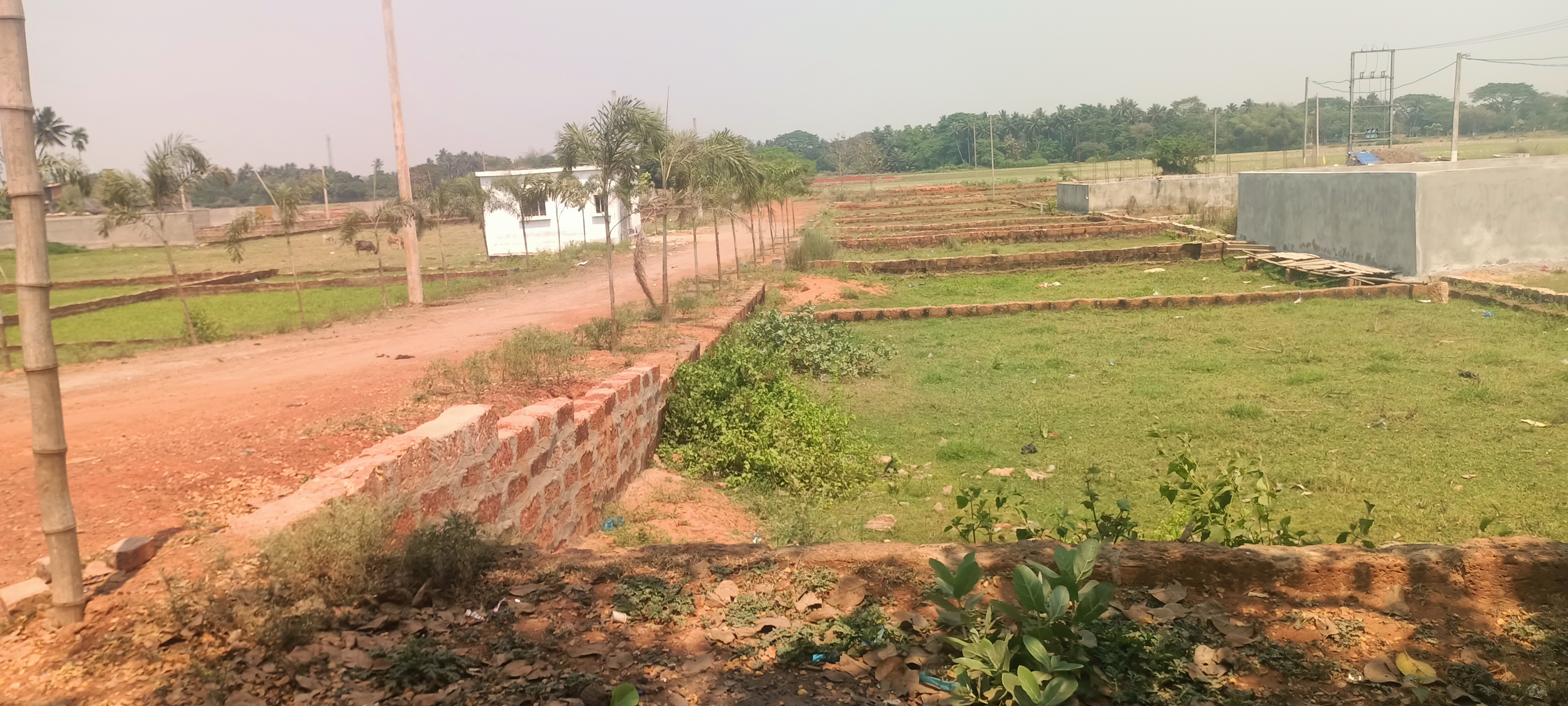 Plot For Sale in Sai Paradise 2 Sundarpada