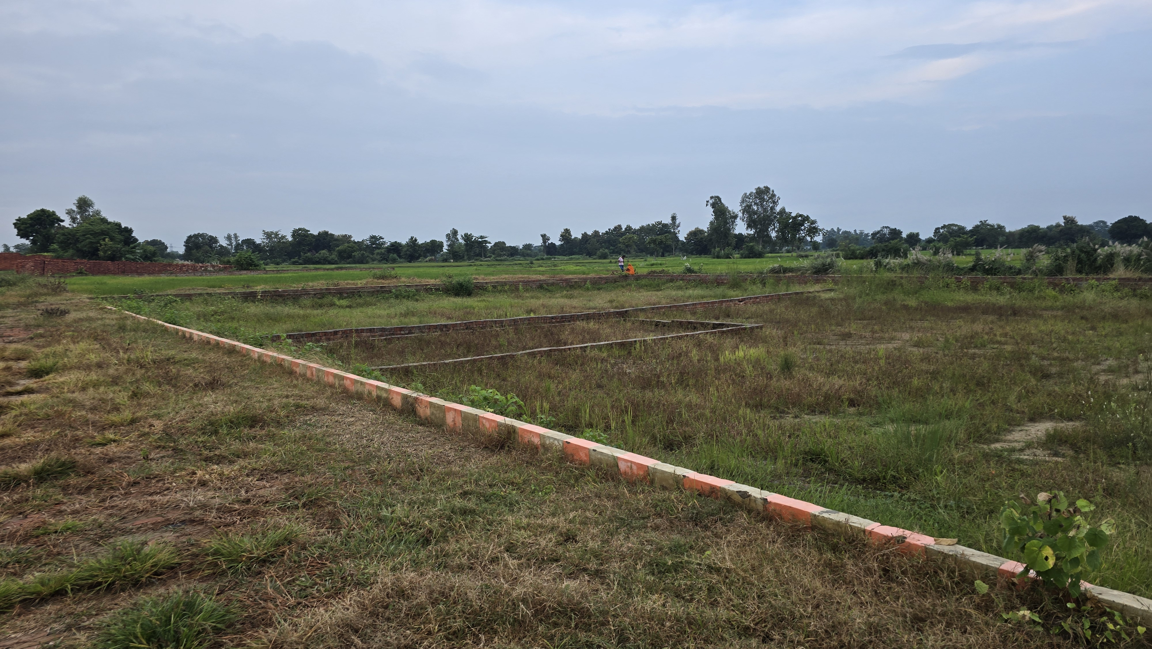 Plot For Sale in Medical College Road
