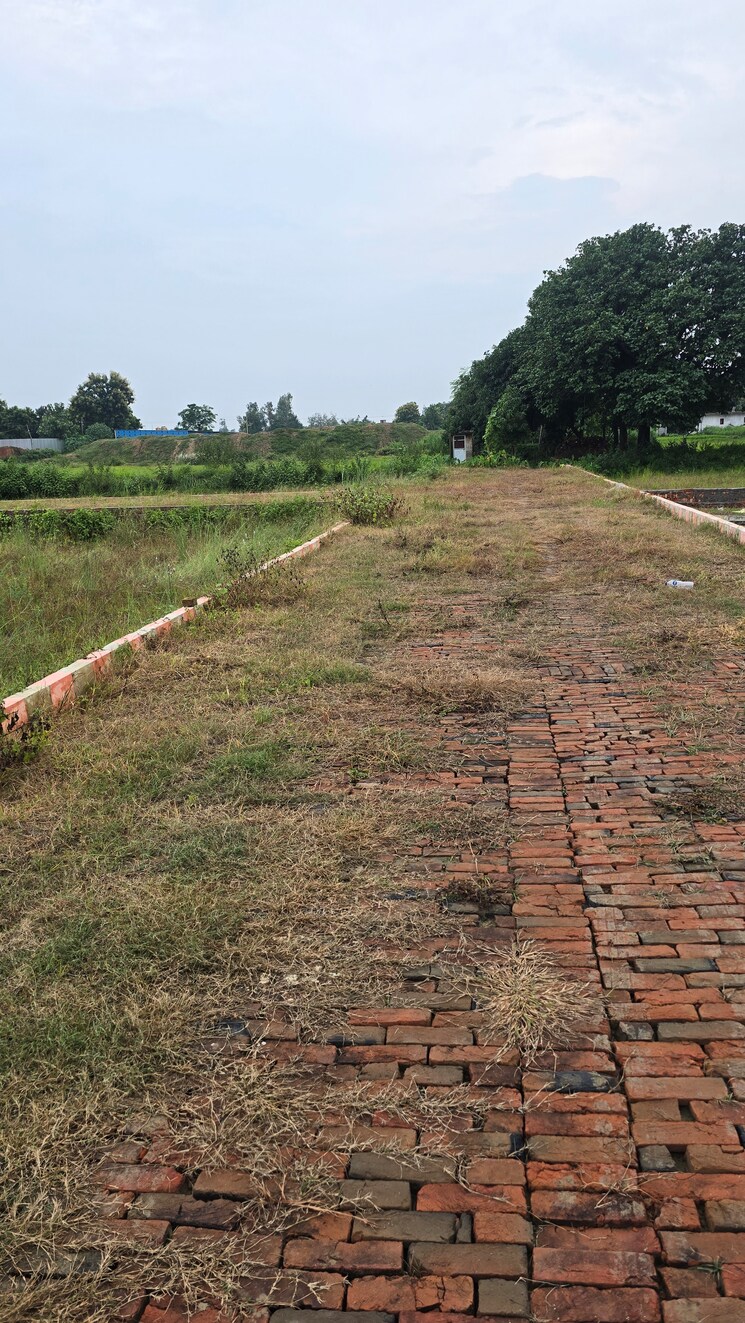 Garden, medical college road  1000 Sq.Ft. Plot In Medical College Road Gorakhpur 9195679