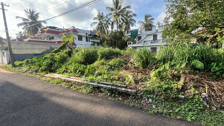 Garden, kuttanellur  4573 Sq.Ft. Plot In Kuttanellur Thrissur 9195807