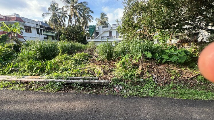 Garden, kuttanellur  4573 Sq.Ft. Plot In Kuttanellur Thrissur 9195807