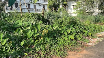  Plot – Garden View at Kuttanellur - for Sale