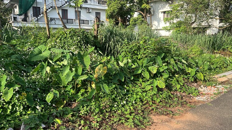 Garden, kuttanellur  4573 Sq.Ft. Plot In Kuttanellur Thrissur 9195807